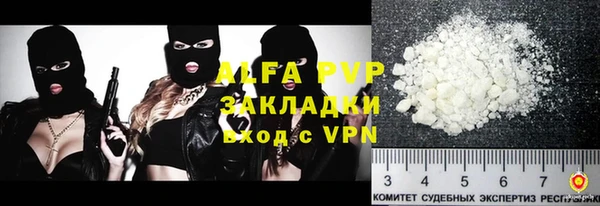 шишки Абаза