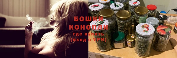 шишки Абаза