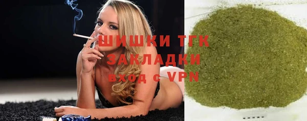 шишки Абаза