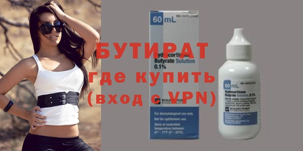 шишки Абаза