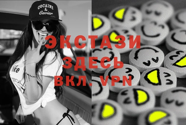 шишки Абаза