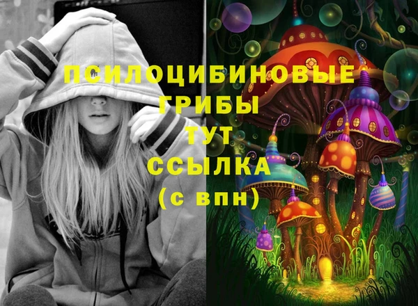 шишки Абаза