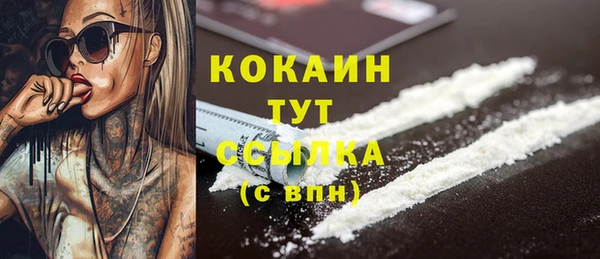 шишки Абаза