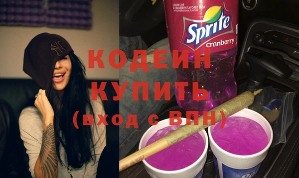 шишки Абаза