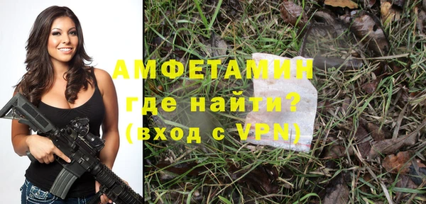 шишки Абаза