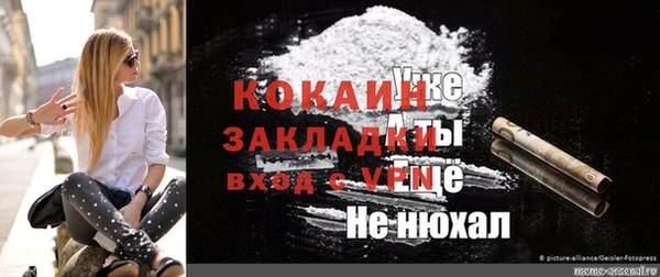 PSILOCYBIN Пересвет