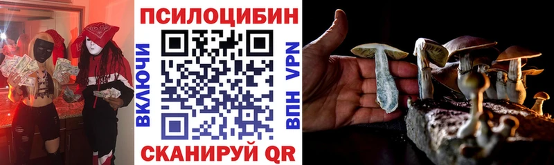 Галлюциногенные грибы Cubensis Уржум